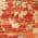 Brick color or pattern variation