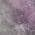 Plum color or pattern variation