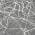 Gray color or pattern variation