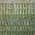 Green color or pattern variation