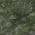 Olive color or pattern variation