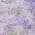 Plum color or pattern variation