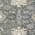 Gray color or pattern variation