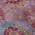 Pink color or pattern variation