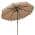 Brown with Scalloped Edges color or pattern variation