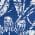 Navy color or pattern variation