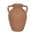 Brown color or pattern variation