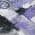 Purple color or pattern variation