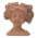 Brown color or pattern variation