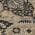 Black color or pattern variation