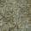 Olive color or pattern variation