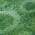 Emerald color or pattern variation