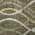 Olive color or pattern variation
