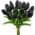 Black color or pattern variation