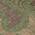 Olive color or pattern variation