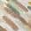 Cream color or pattern variation