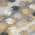Gray color or pattern variation