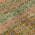 Coral color or pattern variation