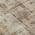 Brown color or pattern variation
