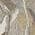 Taupe color or pattern variation
