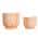 Orange color or pattern variation