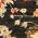 Black color or pattern variation