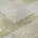 Beige color or pattern variation