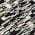 Black color or pattern variation
