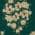 Green color or pattern variation