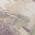 Plum color or pattern variation