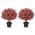 Red color or pattern variation