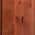 Red Chestnut Stain color or pattern variation