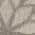 Silver Grey color or pattern variation