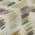 Beige color or pattern variation