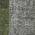 Olive color or pattern variation
