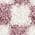 Pink color or pattern variation