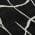 Black color or pattern variation
