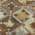 Brown color or pattern variation