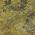 Gold color or pattern variation