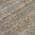 Brown color or pattern variation