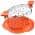 Orange color or pattern variation