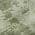 Olive color or pattern variation