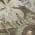 Brown color or pattern variation