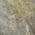 Pewter color or pattern variation