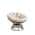 White color or pattern variation