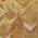 Brown color or pattern variation