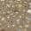 Brown color or pattern variation