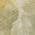 Gold color or pattern variation