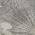 Gray color or pattern variation
