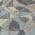 Gray color or pattern variation